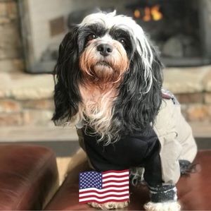 Meet your Posher, Jane turner